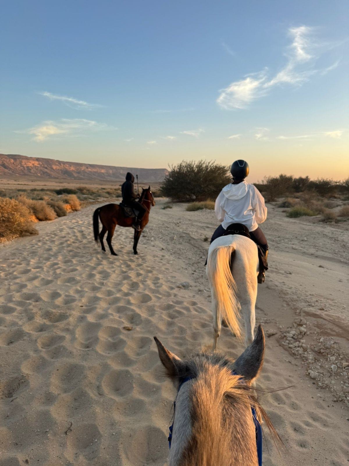 Horse Riding Experience In king Khalid preserve | Hala Yalla
