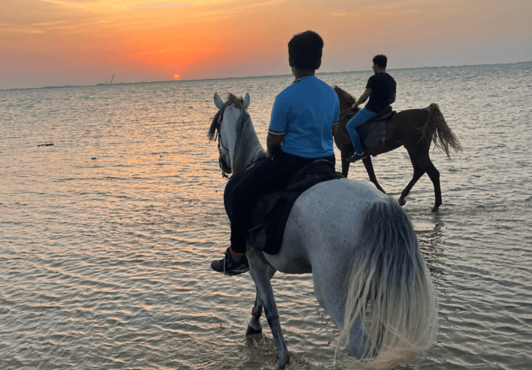Horse Riding in Jeddah | Hala Yalla